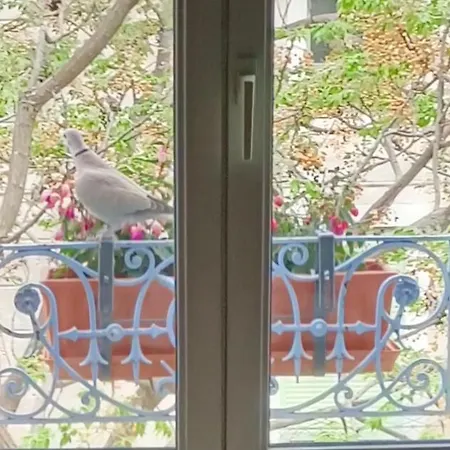 A Deux Pas D'avignon * Aramon