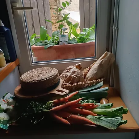 A Deux Pas D'avignon