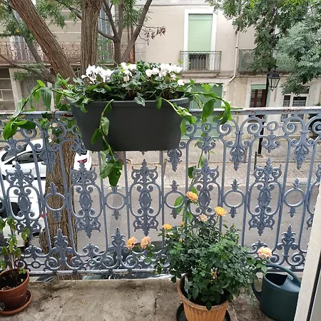 בית נופש A Deux Pas D'avignon *