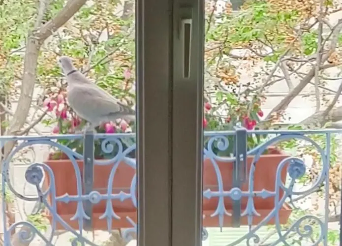 A Deux Pas D'avignon * Aramon